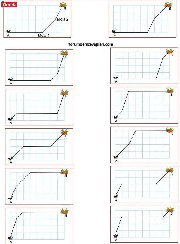 8. Sınıf Matematik Ders Kitabı Sayfa 205-209-210-211 Cevapları MEB Yayınları 6 8. Sınıf Matematik Ders Kitabı Sayfa 211 Cevapları MEB Yayınları