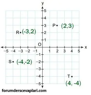 8. Sınıf Matematik Ders Kitabı Sayfa 229 Cevapları MEB Yayınları2