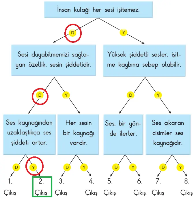 3. Sınıf Fen Bilimleri Ders Kitabı Sayfa 144 Cevapları SDR Dikey Yayıncılık