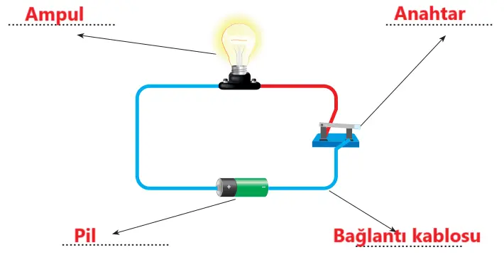 4. Sınıf Fen Bilimleri Ders Kitabı Sayfa 237-238-239-240 Cevapları Pasifik Yayınları