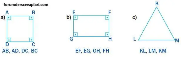 4. Sınıf Matematik Ders Kitabı Sayfa 194-195-198-200 Cevapları Pasifik Yayınları