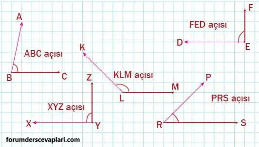 4. Sınıf Matematik Ders Kitabı Sayfa 212-213-216 Cevapları Pasifik Yayınları 2 4. Sınıf Matematik Ders Kitabı Sayfa 212 Cevapları Pasifik Yayıncılık1