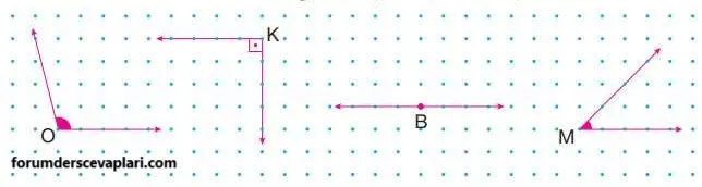 4. Sınıf Matematik Ders Kitabı Sayfa 212-213-216 Cevapları Pasifik Yayınları 3 4. Sınıf Matematik Ders Kitabı Sayfa 213 Cevapları Pasifik Yayıncılık