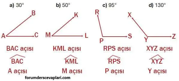 4. Sınıf Matematik Ders Kitabı Sayfa 212-213-216 Cevapları Pasifik Yayınları 4 4. Sınıf Matematik Ders Kitabı Sayfa 216 Cevapları Pasifik Yayıncılık