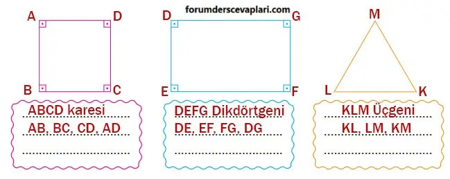 4. Sınıf Matematik Ders Kitabı Sayfa 231-232-233-234 Cevapları Pasifik Yayınları