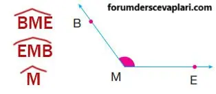 4. Sınıf Matematik Ders Kitabı Sayfa 233 Cevapları Pasifik Yayıncılık