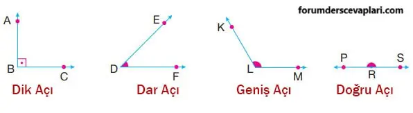 4. Sınıf Matematik Ders Kitabı Sayfa 233 Cevapları Pasifik Yayıncılık1