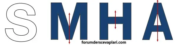 4. Sınıf Matematik Ders Kitabı Sayfa 234 Cevapları Pasifik Yayıncılık