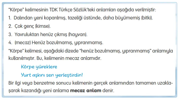 4. Sınıf Türkçe Ders Kitabı Sayfa 245-246-247-248-249 Cevapları Tuna Yayıncılık