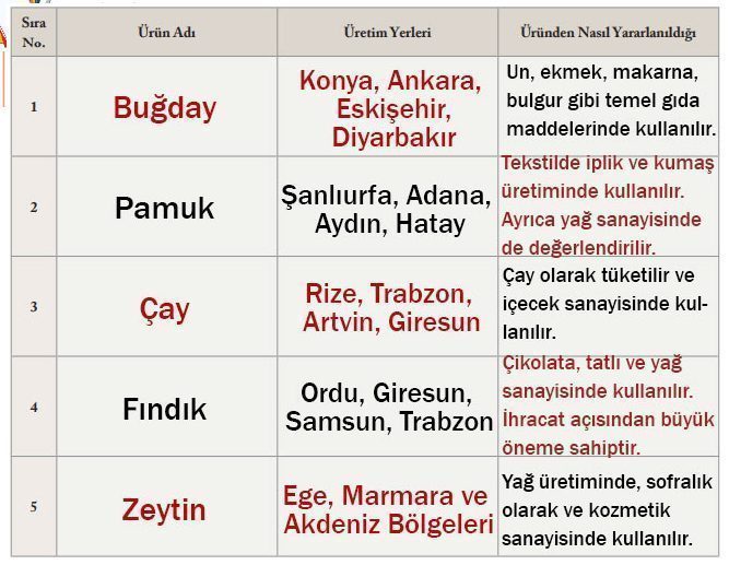 6. Sınıf Sosyal Bilgiler Ders Kitabı Sayfa 165-166-167-169 Cevapları EVOS Yayıncılık