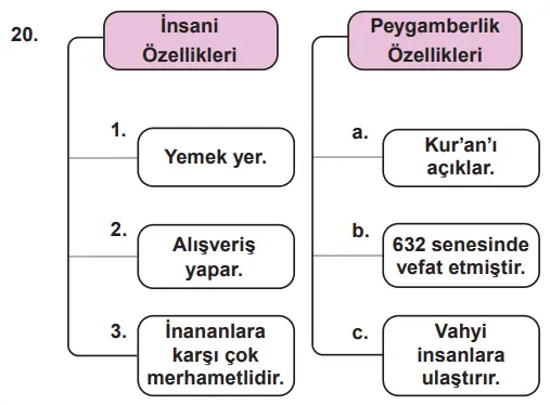 7. Sınıf Din Kültürü Ders Kitabı Sayfa 114 Cevapları MEB Yayınları
