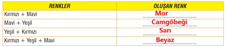 7. Sınıf Fen Bilimleri Ders Kitabı Sayfa 146-148-149-150-154-155 Cevapları MEB Yayınları