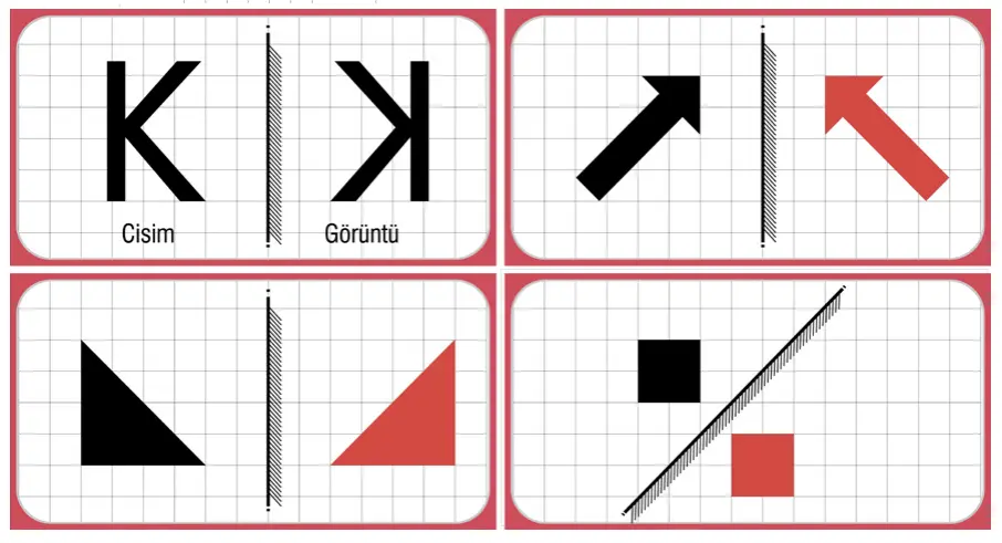 7. Sınıf Fen Bilimleri Ders Kitabı Sayfa 156-159-161-162-163 Cevapları MEB Yayınları