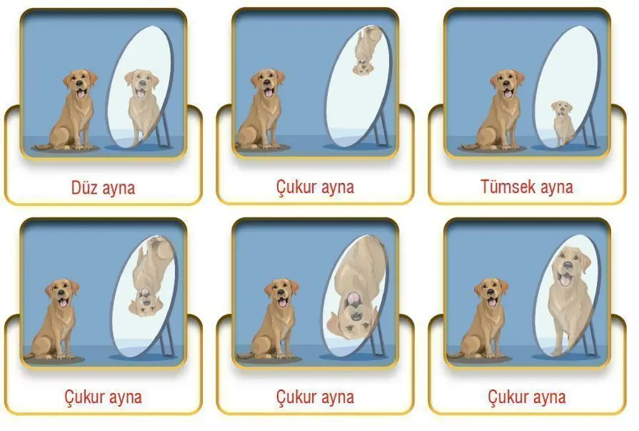 7. Sınıf Fen Bilimleri Ders Kitabı Sayfa 156-159-161-162-163 Cevapları MEB Yayınları 2 7. Sınıf Fen Bilimleri Ders Kitabı Sayfa 163 Cevapları MEB Yayınları