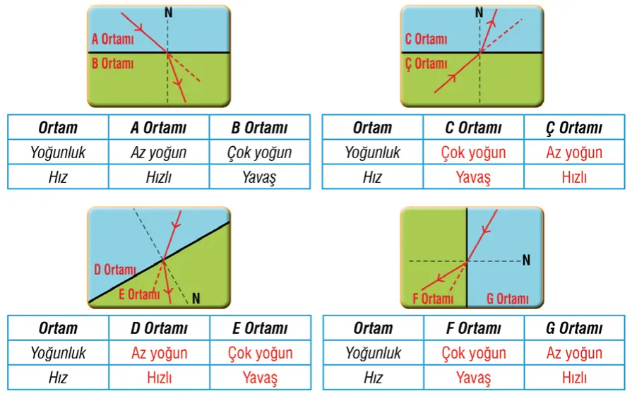 7. Sınıf Fen Bilimleri Ders Kitabı Sayfa 164-166-167-169-170-172-173 Cevapları MEB Yayınları 2 7. Sınıf Fen Bilimleri Ders Kitabı Sayfa 166 Cevapları MEB Yayınları