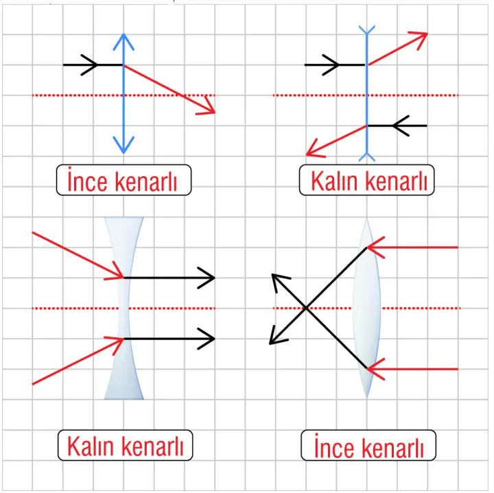 7. Sınıf Fen Bilimleri Ders Kitabı Sayfa 164-166-167-169-170-172-173 Cevapları MEB Yayınları 3 7. Sınıf Fen Bilimleri Ders Kitabı Sayfa 170 Cevapları MEB Yayınları