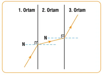 7. Sınıf Fen Bilimleri Ders Kitabı Sayfa 164-166-167-169-170-172-173 Cevapları MEB Yayınları 4 7. Sınıf Fen Bilimleri Ders Kitabı Sayfa 173 Cevapları MEB Yayınları