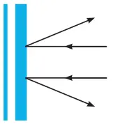 7. Sınıf Fen Bilimleri Ders Kitabı Sayfa 177 Cevapları MEB Yayınları