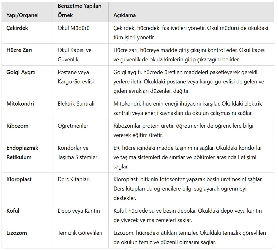 5. Sınıf Fen Bilimleri Ders Kitabı Sayfa 103-105-106-110-111-112-114 Cevapları MEB Yayınları 2 Hücre-Okul Benzetmesi