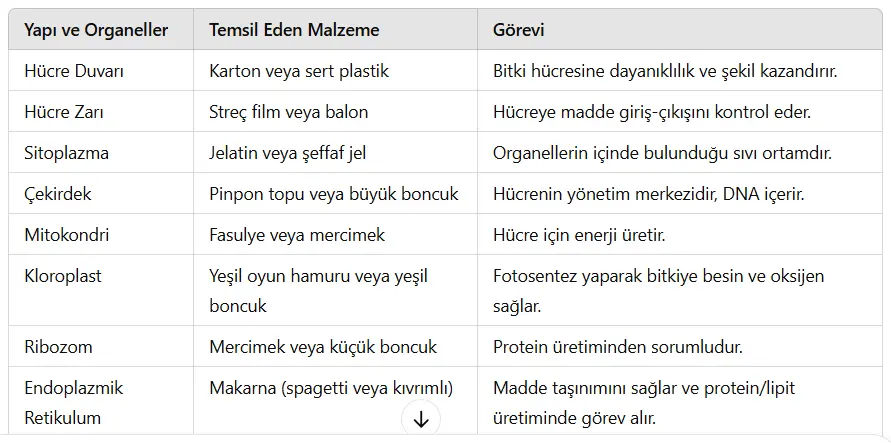 5. Sınıf Fen Bilimleri Ders Kitabı Sayfa 103-105-106-110-111-112-114 Cevapları MEB Yayınları 3 yapılar ve organeller