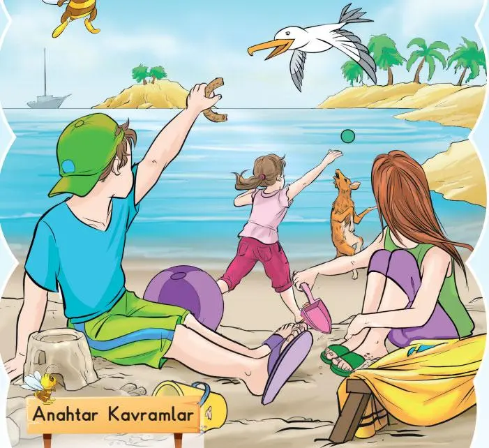 3. Sınıf Fen Bilimleri Ders Kitabı Sayfa 147 Cevapları SDR Dikey Yayıncılık