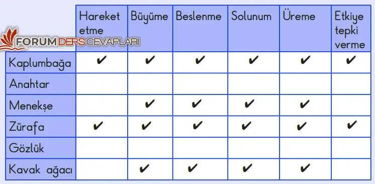 3. Sınıf Fen Bilimleri Ders Kitabı Sayfa 156 Cevapları SDR Dikey Yayıncılık