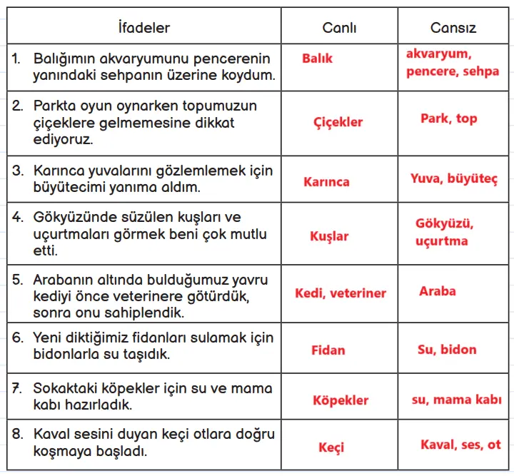 3. Sınıf Fen Bilimleri Ders Kitabı Sayfa 156-160 Cevapları MEB Yayınları