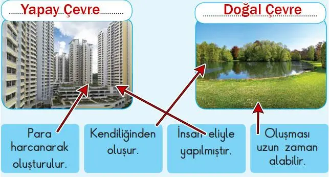 3. Sınıf Fen Bilimleri Ders Kitabı Sayfa 163-165-167-169-170 Cevapları SDR Dikey Yayıncılık 2 3. Sınıf Fen Bilimleri Ders Kitabı Sayfa 170 Cevapları SDR Dikey Yayıncılık