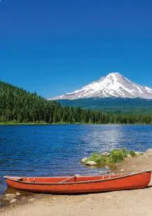 3. Sınıf Fen Bilimleri Ders Kitabı Sayfa 163-165-167-169-170 Cevapları SDR Dikey Yayıncılık 3 3. Sınıf Fen Bilimleri Ders Kitabı Sayfa 170 Cevapları SDR Dikey Yayıncılık