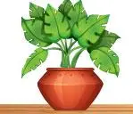 3. Sınıf Fen Bilimleri Ders Kitabı Sayfa 171-172-173-174-175-176 Cevapları SDR Dikey Yayıncılık 4 3. Sınıf Fen Bilimleri Ders Kitabı Sayfa 172 Cevapları SDR Dikey Yayıncılık