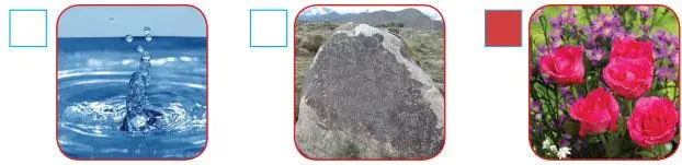 3. Sınıf Fen Bilimleri Ders Kitabı Sayfa 171-172-173-174-175-176 Cevapları SDR Dikey Yayıncılık 2 3. Sınıf Fen Bilimleri Ders Kitabı Sayfa 172 Cevapları SDR Dikey Yayıncılık