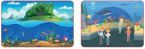 3. Sınıf Fen Bilimleri Ders Kitabı Sayfa 171-172-173-174-175-176 Cevapları SDR Dikey Yayıncılık 5 3. Sınıf Fen Bilimleri Ders Kitabı Sayfa 173 Cevapları SDR Dikey Yayıncılık