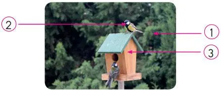 3. Sınıf Fen Bilimleri Ders Kitabı Sayfa 171-172-173-174-175-176 Cevapları SDR Dikey Yayıncılık 6 3. Sınıf Fen Bilimleri Ders Kitabı Sayfa 174 Cevapları SDR Dikey Yayıncılık