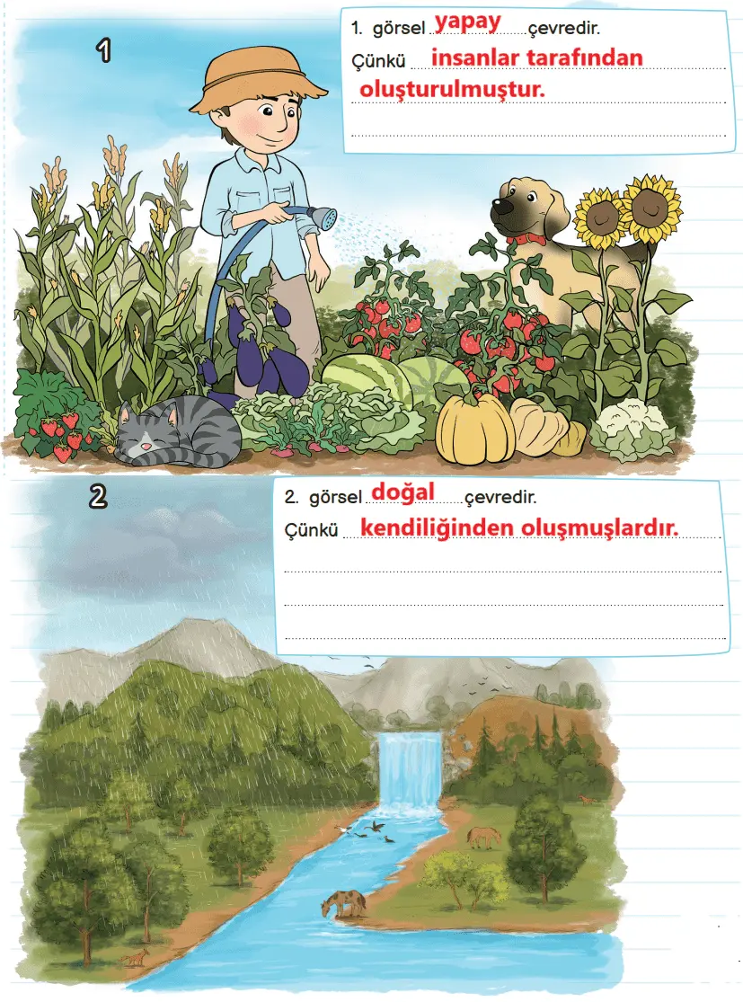 3. Sınıf Fen Bilimleri Ders Kitabı Sayfa 173-174-175 Cevapları MEB Yayınları