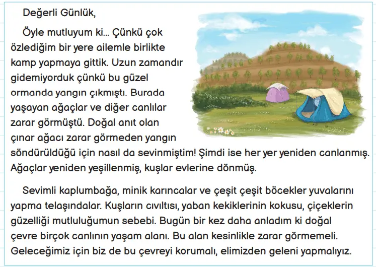 3. Sınıf Fen Bilimleri Ders Kitabı Sayfa 176-178-180-181 Cevapları MEB Yayınları