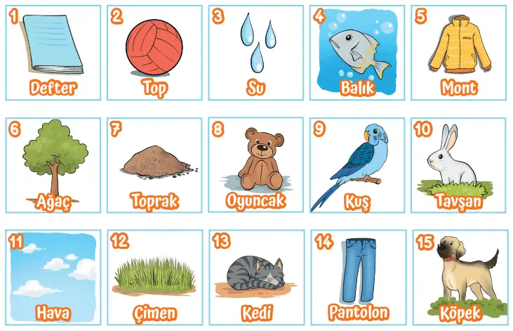 3. Sınıf Fen Bilimleri Ders Kitabı Sayfa 185-186-187 Cevapları MEB Yayınları