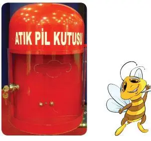 3. Sınıf Fen Bilimleri Ders Kitabı Sayfa 191 Cevapları SDR Dikey Yayıncılık