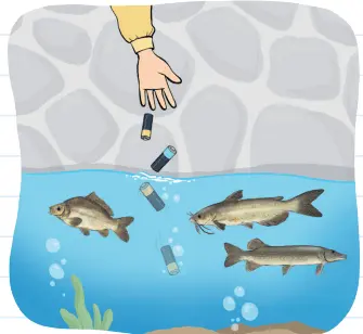 3. Sınıf Fen Bilimleri Ders Kitabı Sayfa 203 Cevapları MEB Yayınları2