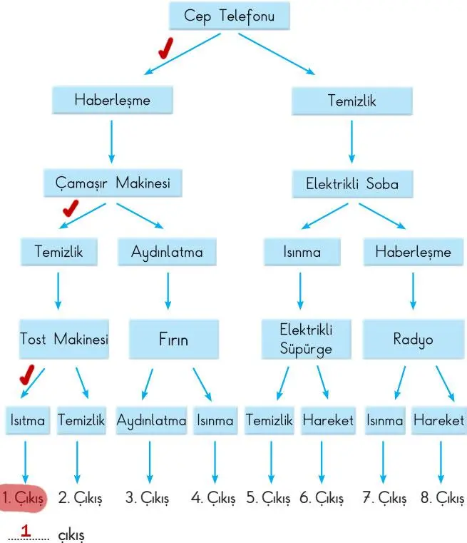 3. Sınıf Fen Bilimleri Ders Kitabı Sayfa 206 Cevapları SDR Dikey Yayıncılık