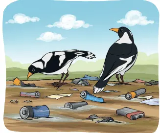 3. Sınıf Fen Bilimleri Ders Kitabı Sayfa 209 Cevapları MEB Yayınları