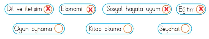3. Sınıf Hayat Bilgisi Ders Kitabı Sayfa 166-168 Cevapları MEB Yayınları