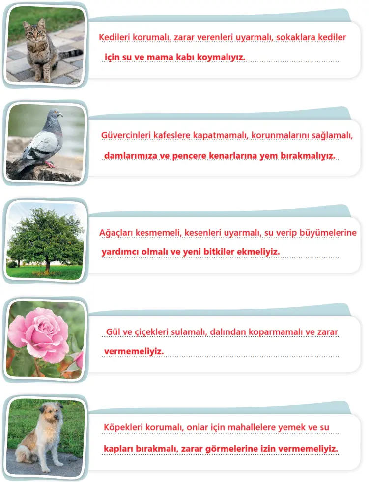 3. Sınıf Hayat Bilgisi Ders Kitabı Sayfa 187 Cevapları SDR İpekyolu Yayıncılık