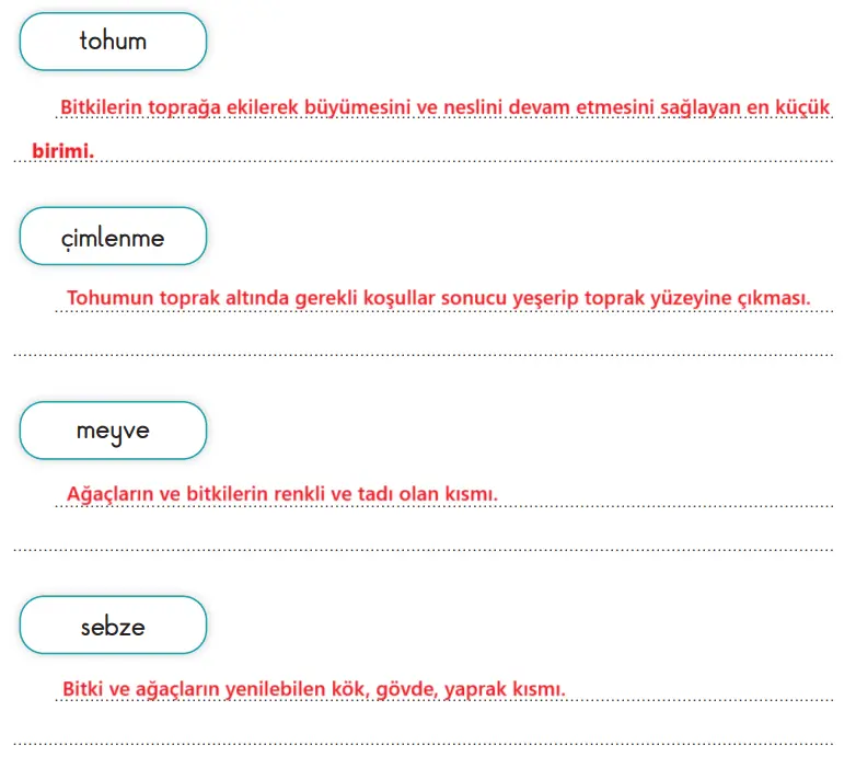 3. Sınıf Hayat Bilgisi Ders Kitabı Sayfa 191 Cevapları SDR İpekyolu Yayıncılık