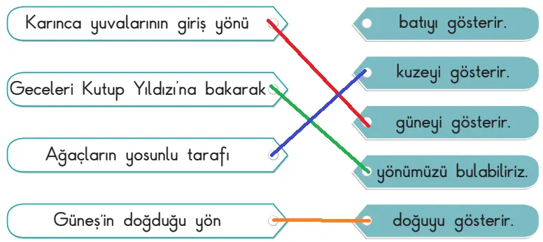 3. Sınıf Hayat Bilgisi Ders Kitabı Sayfa 194 Cevapları SDR İpekyolu Yayıncılık1