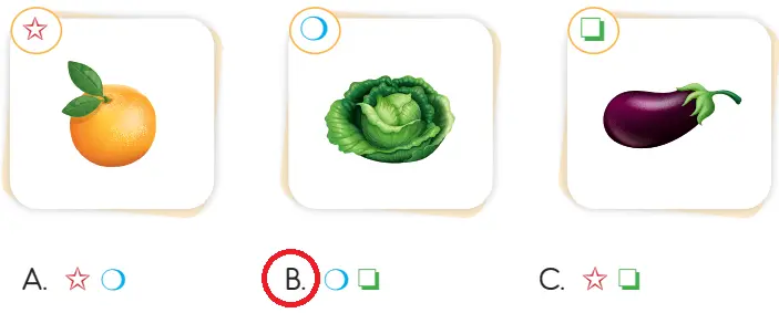 3. Sınıf Hayat Bilgisi Ders Kitabı Sayfa 208-209-210-211 Cevapları SDR İpekyolu Yayıncılık