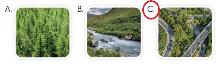 3. Sınıf Hayat Bilgisi Ders Kitabı Sayfa 208-209-210-211 Cevapları SDR İpekyolu Yayıncılık 2 3. Sınıf Hayat Bilgisi Ders Kitabı Sayfa 209 Cevapları SDR İpekyolu Yayıncılık1