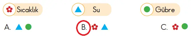 3. Sınıf Hayat Bilgisi Ders Kitabı Sayfa 208-209-210-211 Cevapları SDR İpekyolu Yayıncılık 3 3. Sınıf Hayat Bilgisi Ders Kitabı Sayfa 210 Cevapları SDR İpekyolu Yayıncılık