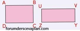4. Sınıf Matematik Ders Kitabı Sayfa 254-255 Cevapları MEB Yayınları3