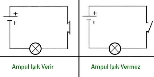 5. Sınıf Fen Bilimleri Ders Kitabı Sayfa 114 Cevapları İkinci Kitap