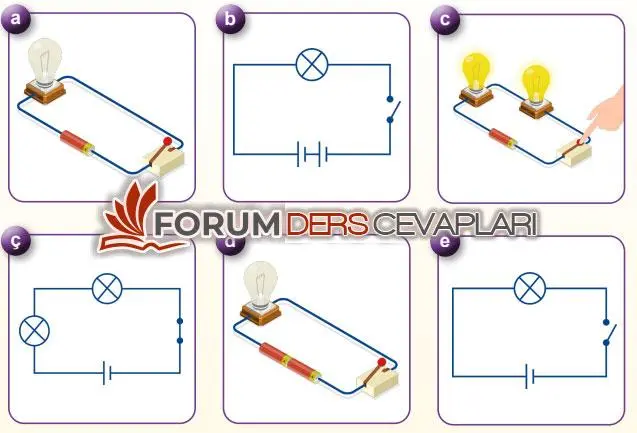 5. Sınıf Fen Bilimleri Ders Kitabı Sayfa 116-117-118-119 Cevapları 2. Kitap